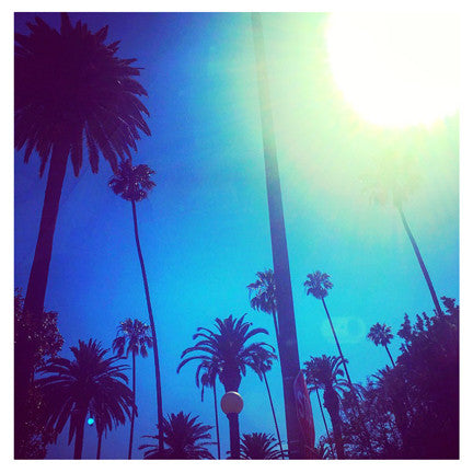 "PALM SUN" 4x4 Print