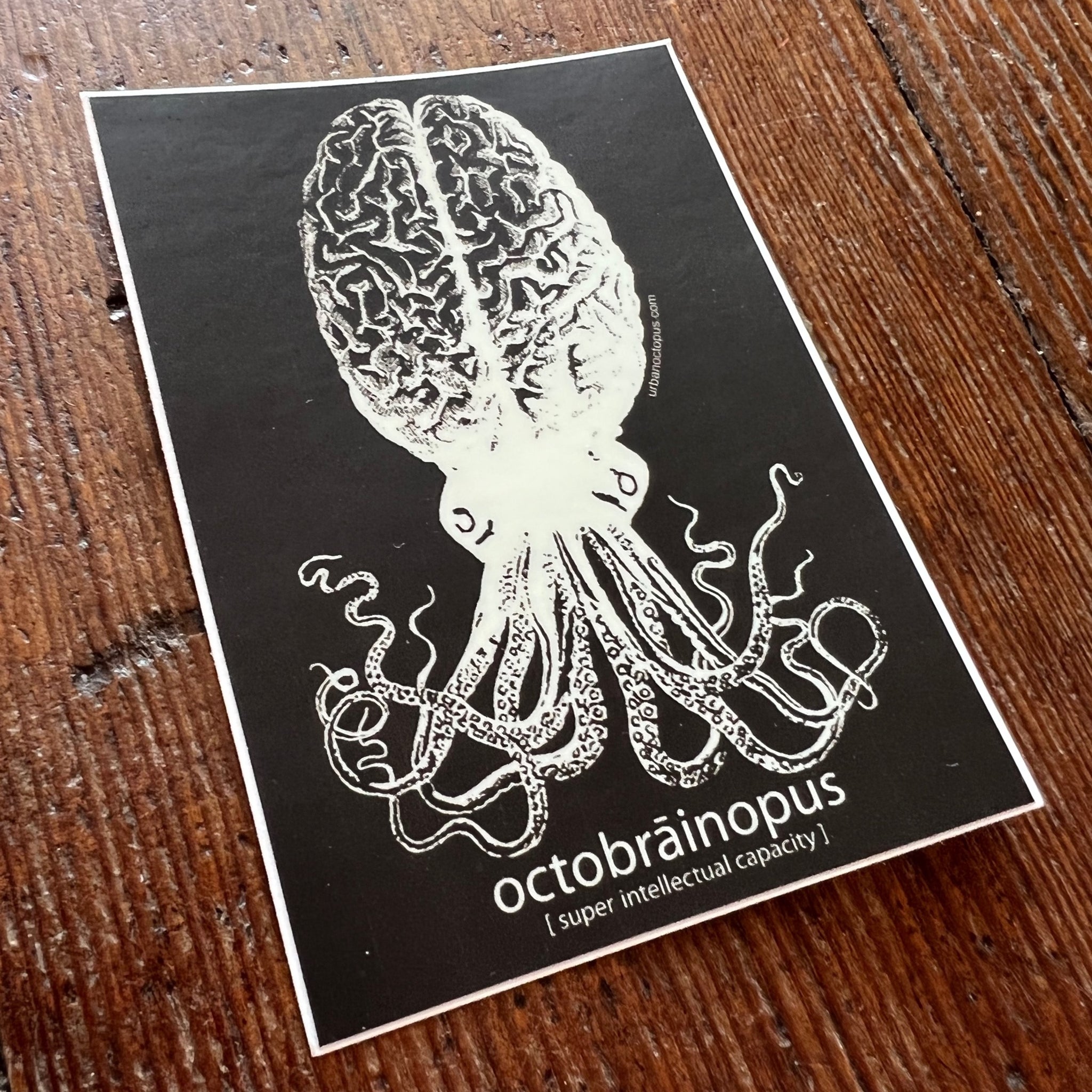 Octobrāinopus Sticker