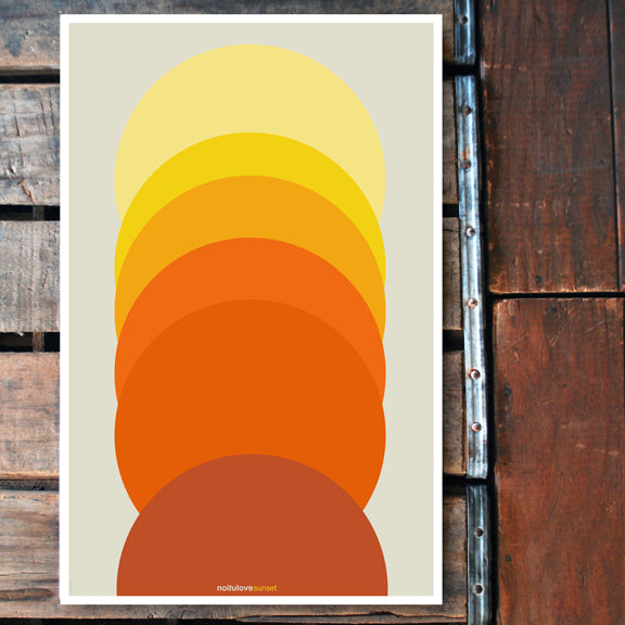 "Evolution Sunset" 11x17 Poster